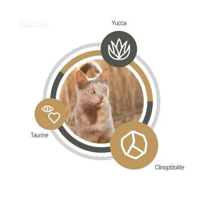 Exclusive Digest, 2 kg | Easy-to-digest formula for cats with sensitive digestive systems
