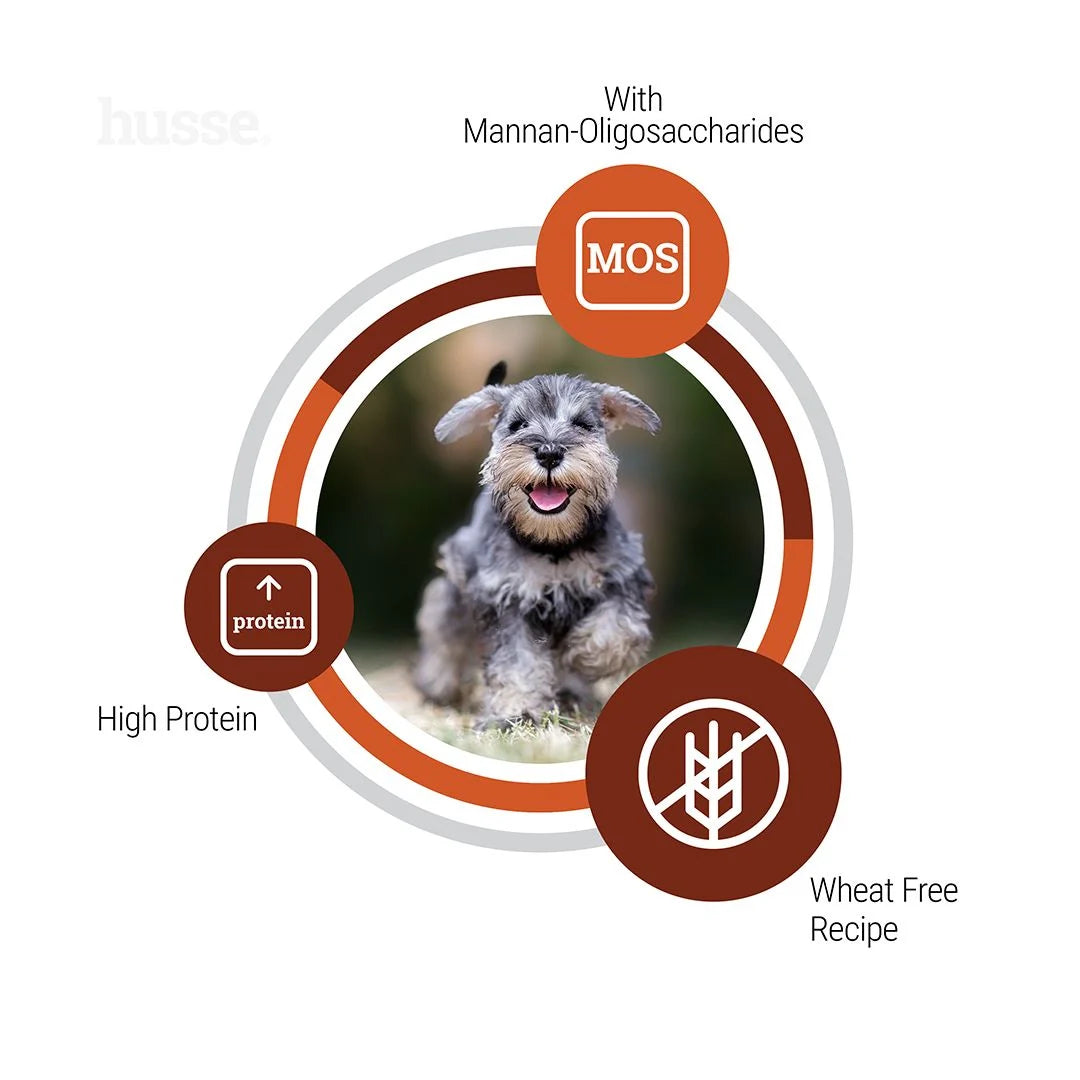 Adult Active Life, small breeds, 2 kg | Specially crafted for small dogs' everyday energy and vitality
