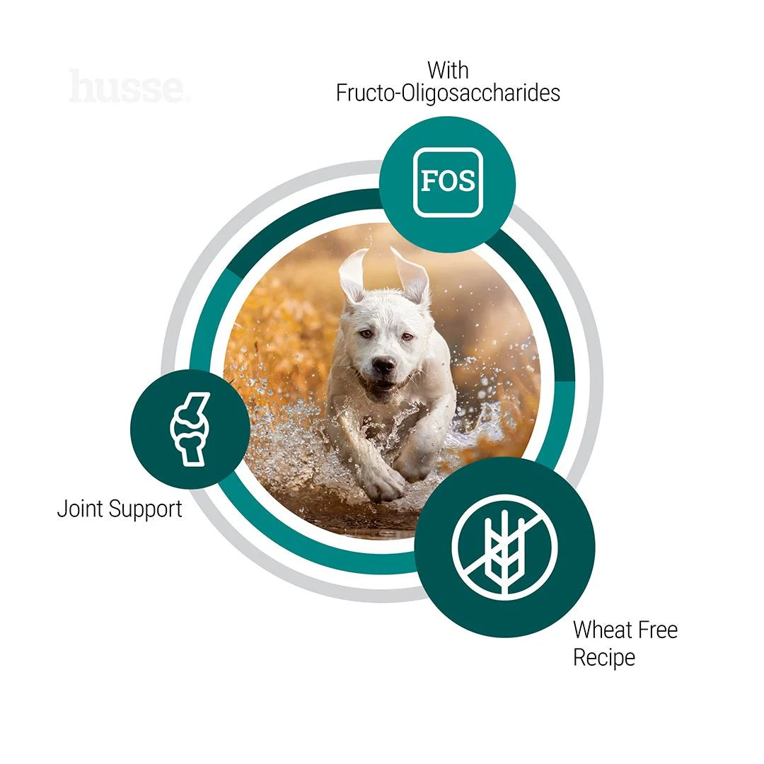 Adult Agility, 12 kg | Balanced nutrition for mobility and overall vitality in large breeds