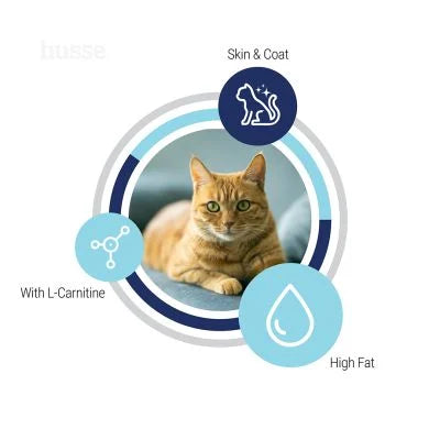 Adult Skin & Coat, 7 kg | Tailored for active cats with sensitive skin or prone to dryness and irritation