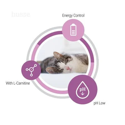 Adult Sterilised, 7 kg | Tailored to help support weight control in cats after sterilisation