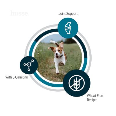 Adult Vitality, 12 kg | Balanced care for everyday health & vitality in dogs with moderate energy needs