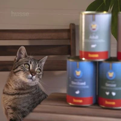 Adult, 400 g | Tasty pâté with beef for cats