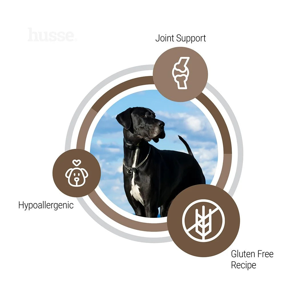 Hypoallergenic Digest Adult, large breeds, 12 kg | Complete digestive and joint support for large dogs