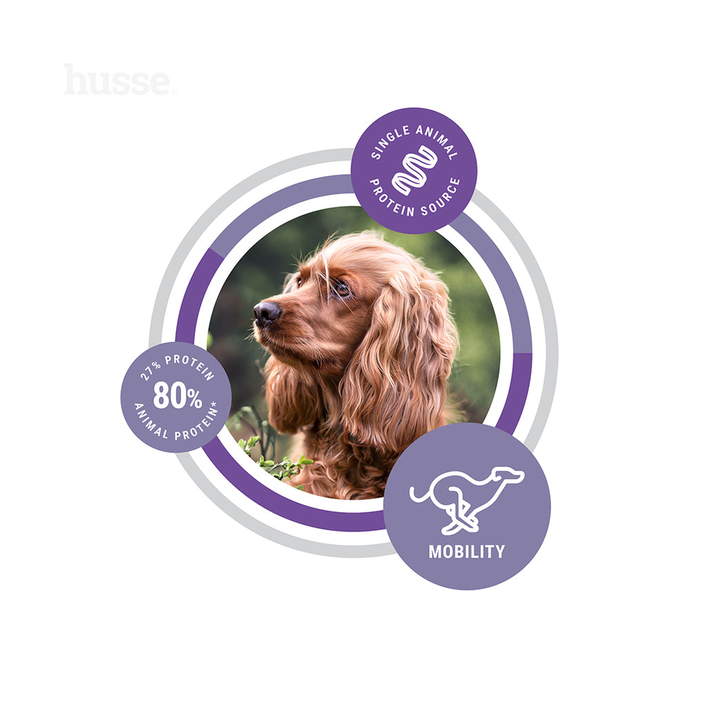 Hypoallergenic Flexcare™ Adult, 12 kg | Advanced nutrition ideal for dogs with active lifestyles