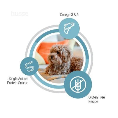 Hypoallergenic Skin & Coat Adult, small breeds, 2 kg | Superior hypoallergenic care for lasting skin and coat health