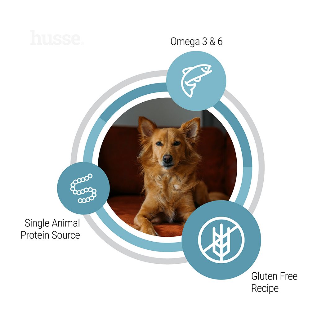 Hypoallergenic Skin & Coat Adult, 12 kg | Superior hypoallergenic care for lasting skin and coat health