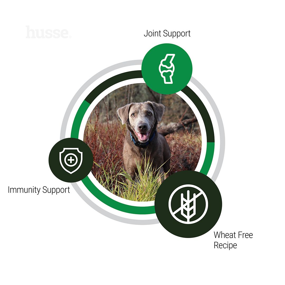 Senior Ageing Support, 12 kg | Complete nutrition designed to ease mobility & maintain vitality in the senior years