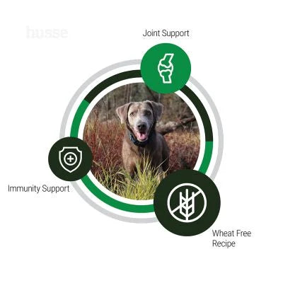 Senior Ageing Support, 12 kg | Complete nutrition designed to ease mobility & maintain vitality in the senior years