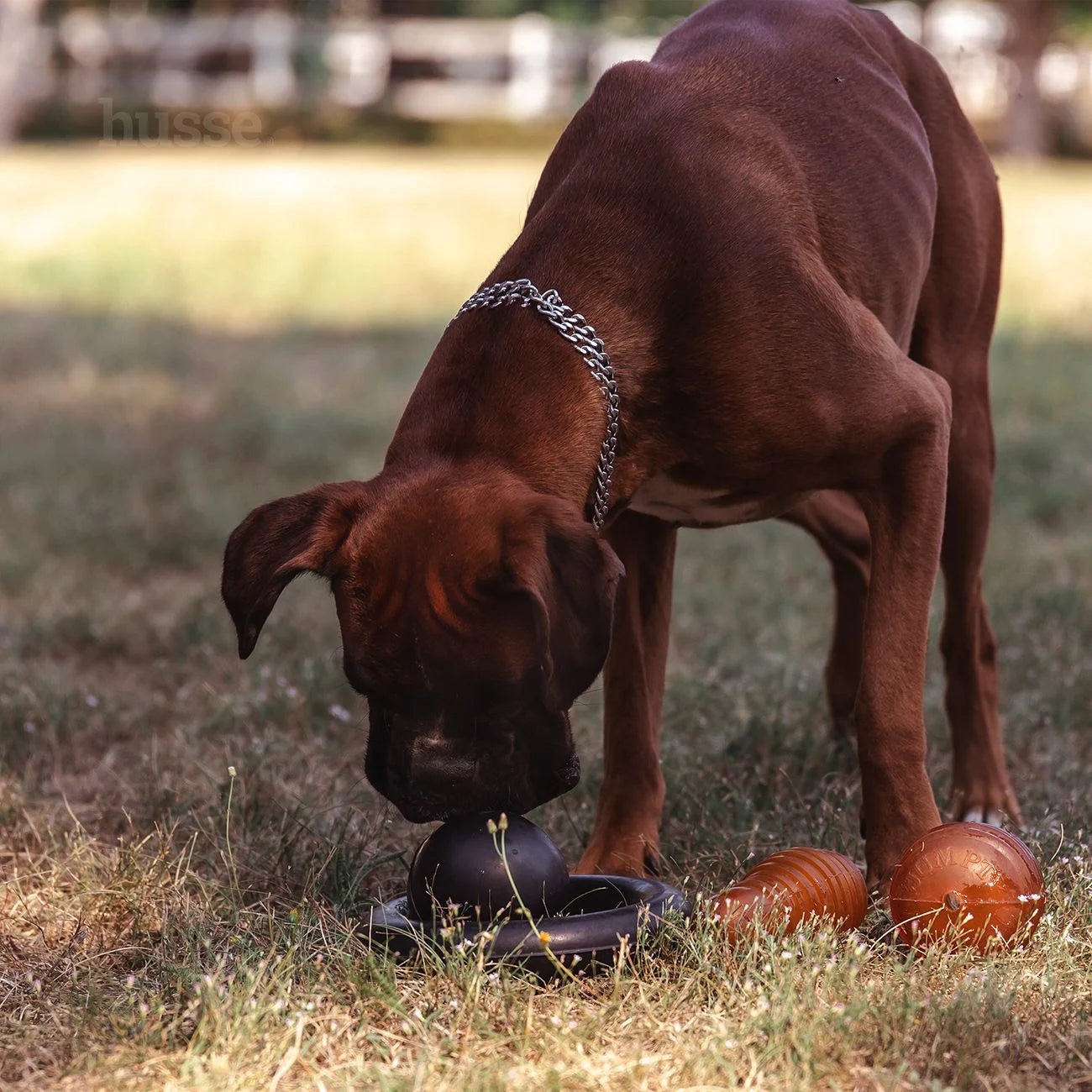Bowling Pin, L | Natural rubber pet toy
