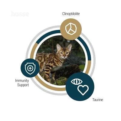 Lynx Senior, 7 kg | Grain free kibbles for senior cats with sensitive skin & stomachs