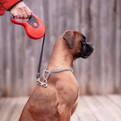 Rulle, 5 m | Leash with restractable system & one-handed braking