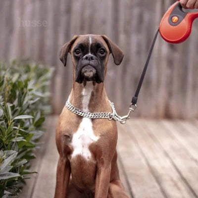 Rulle, 5 m | Leash with restractable system & one-handed braking